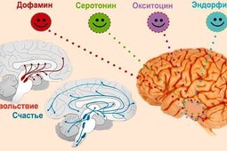 Гипноз и Сон и В чем Разница?
