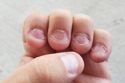 Семейный Психолог в Минске и Решение Семейных Конфликтов